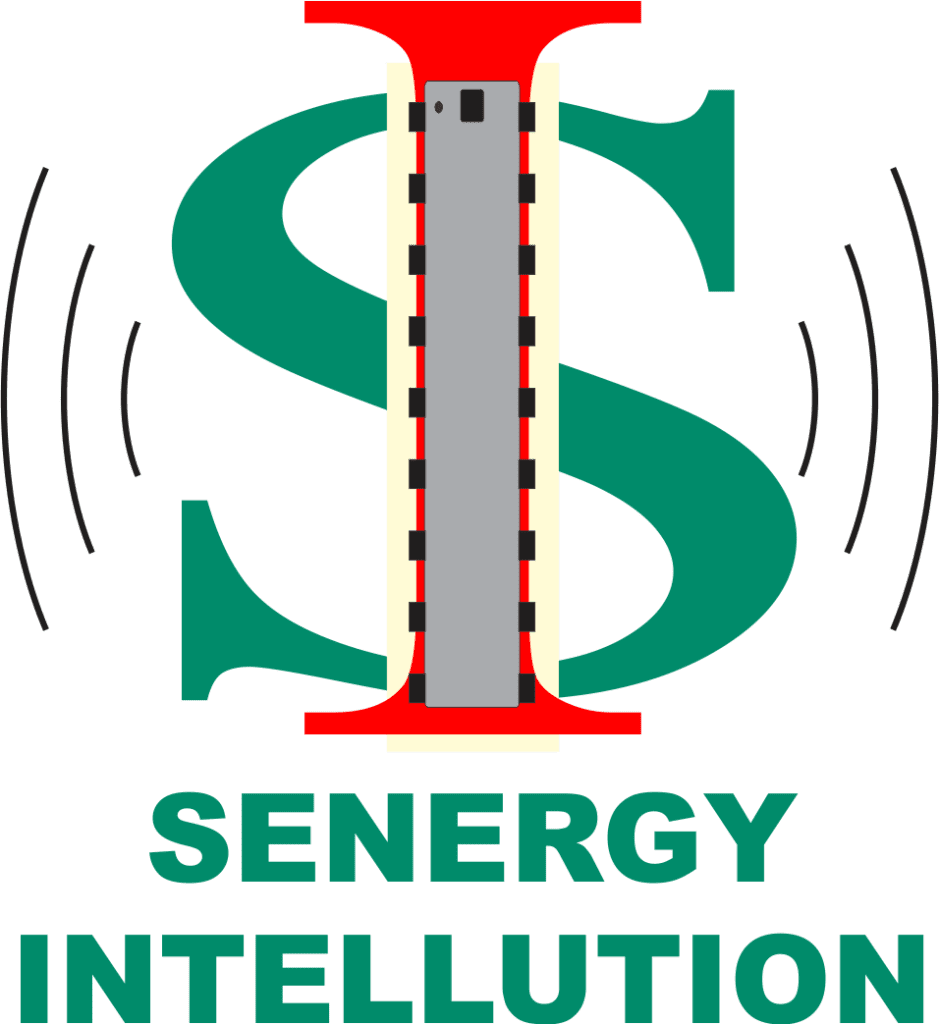 Senergy Intellution Logo